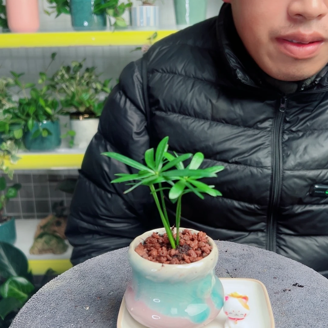 一***街无花朵37