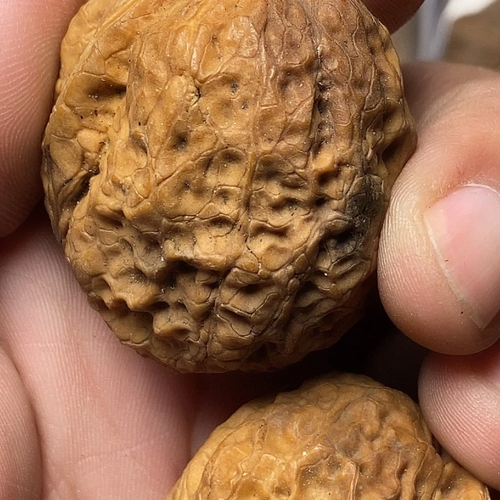 文玩核桃把件云南铁核桃33