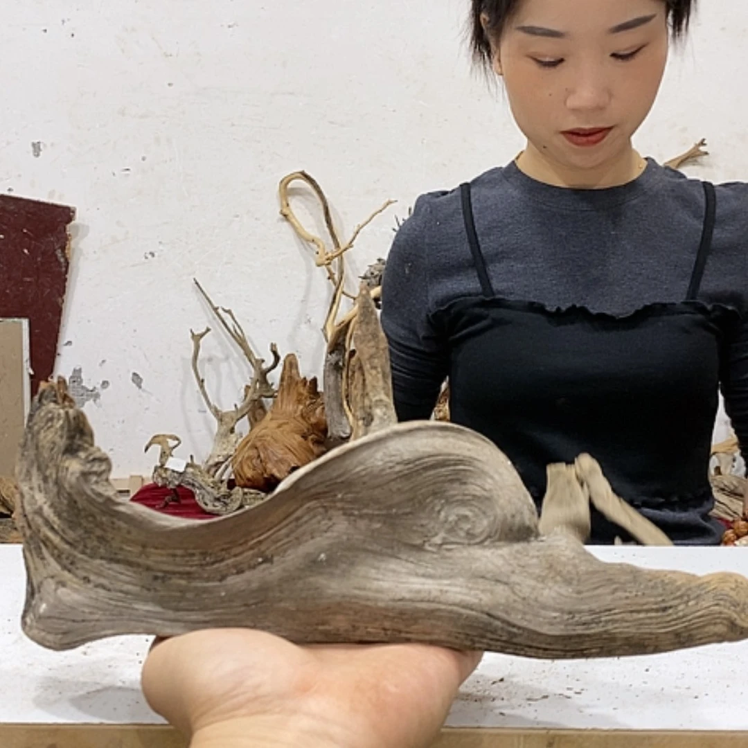 【闪购商品】柏木小*倩我们都是好孩子