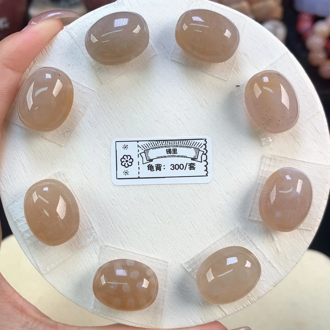 【闪购商品】颈饰未镶嵌硅化珊瑚（珊瑚玉）上新龟背套装（62号）