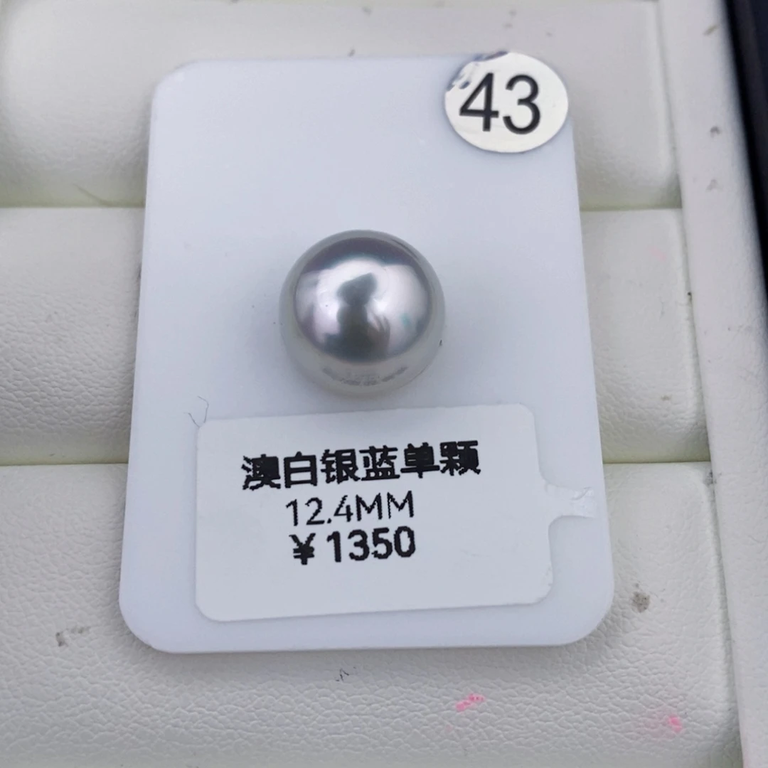 颈饰未镶嵌海水珍珠