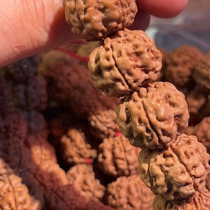 木质小金刚单圈毒药梅花