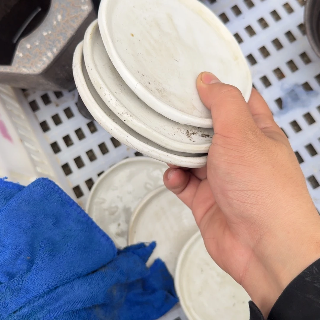 陶瓷茶具微瑕介意勿拍紫泥