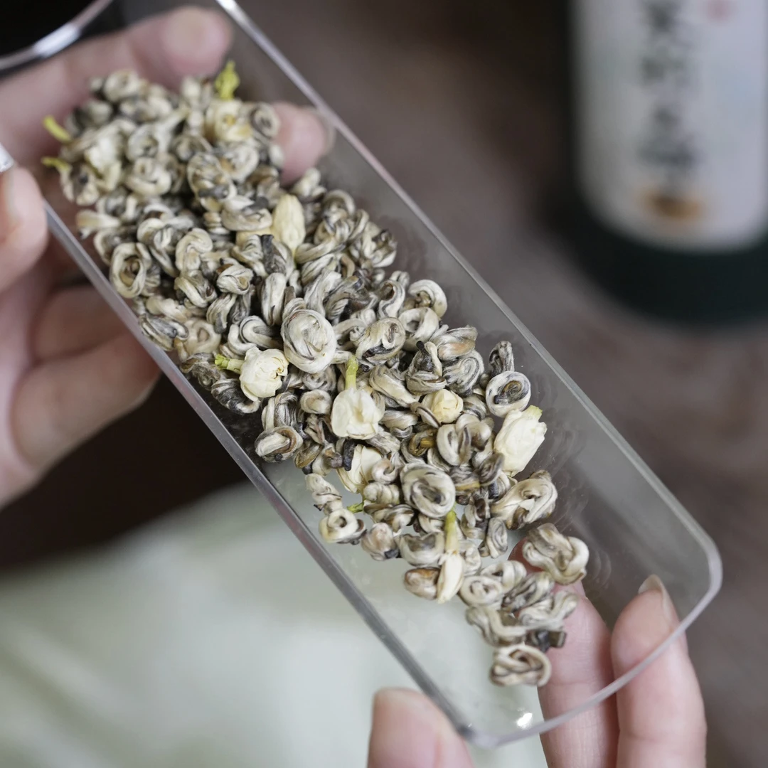 古工茉莉花茶特级浓香型茉莉玉螺王耐泡口粮茶
