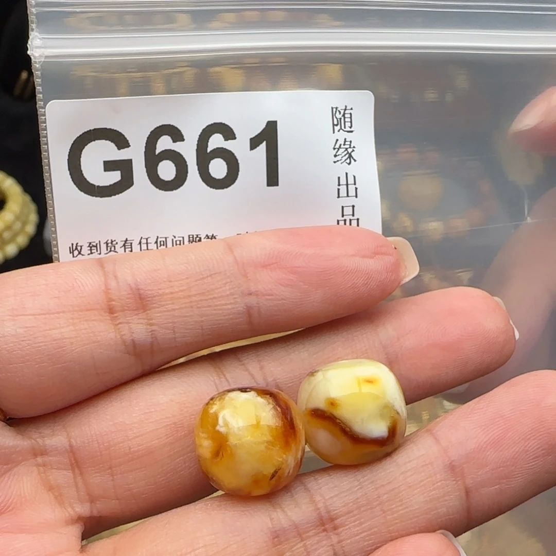 海***洋琥珀未镶嵌裸石14尺寸福利