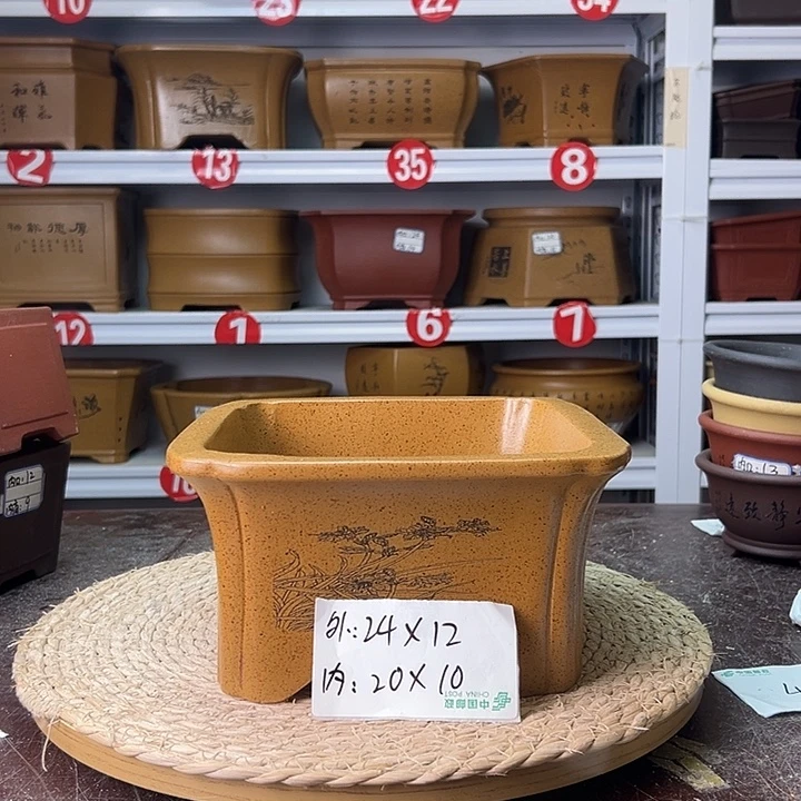 紫砂花盆蛇年大吉