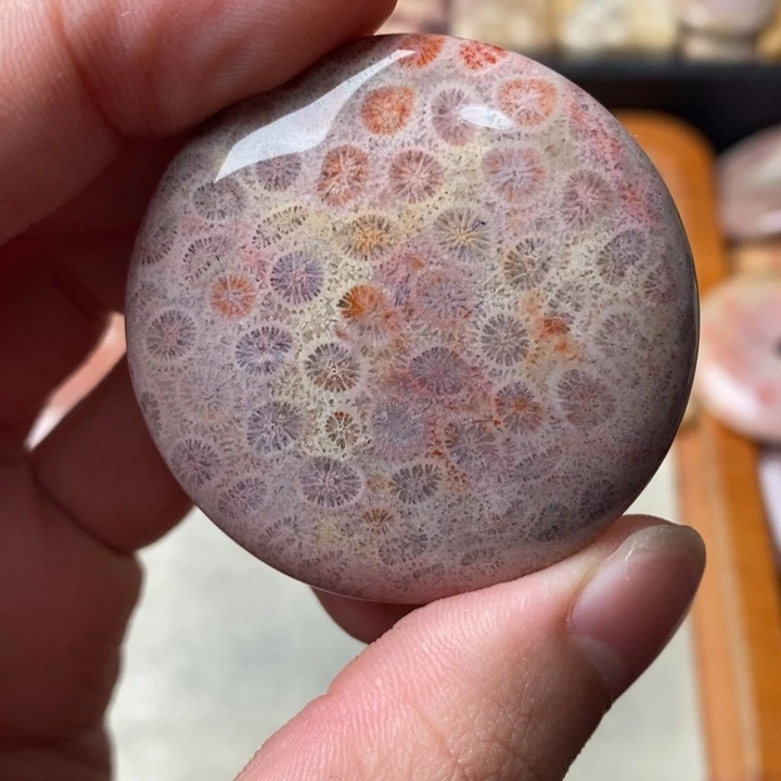 硅化玉颈饰未镶嵌小**力