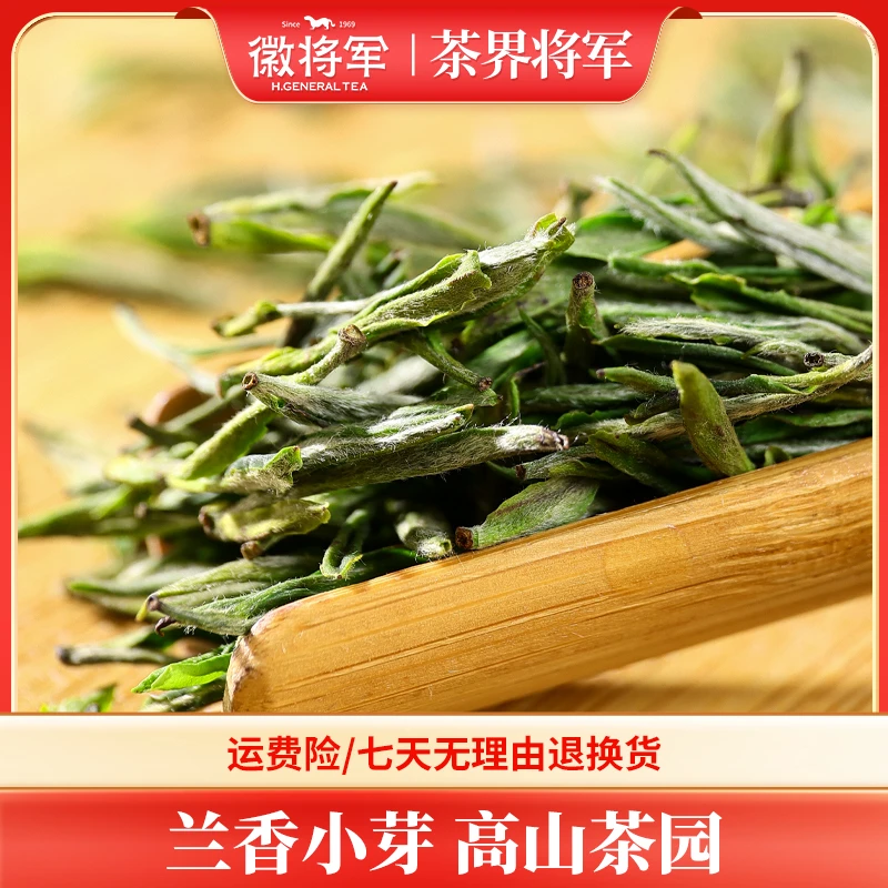 徽将军B48兰香小芽毛峰2025新茶明前嫩芽茶叶绿茶安徽高山茶春茶