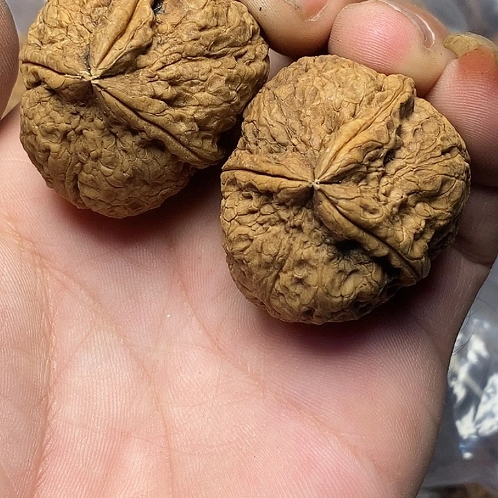 文玩核桃把件云南铁核桃70号