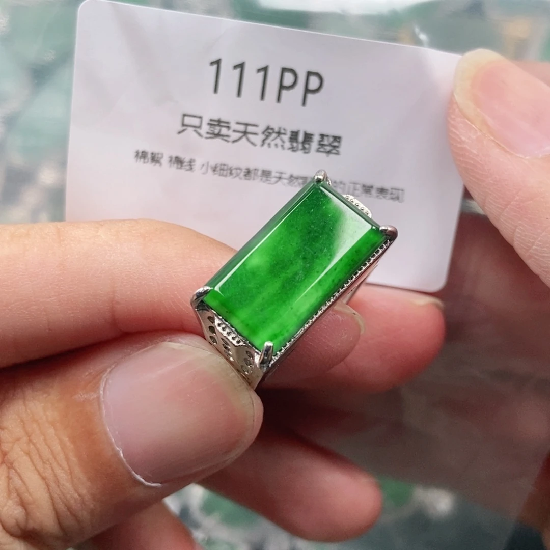【闪购商品】颈饰未镶嵌翡翠