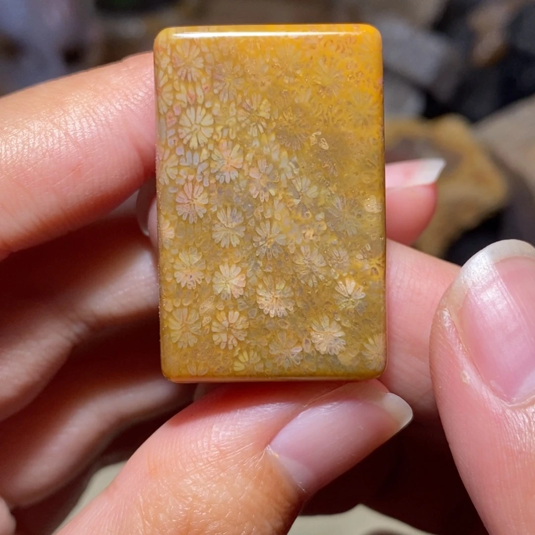 【闪购商品】硅化玉珊瑚玉未镶嵌