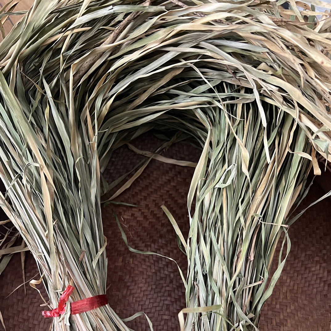 福建龙岩连城干荜拔