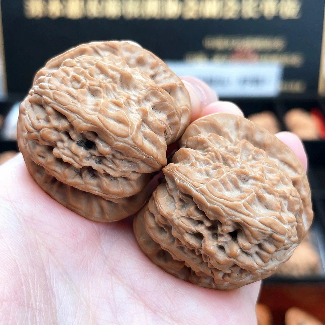 把件文玩核桃S4001主筋对齐红皮老型白狮子