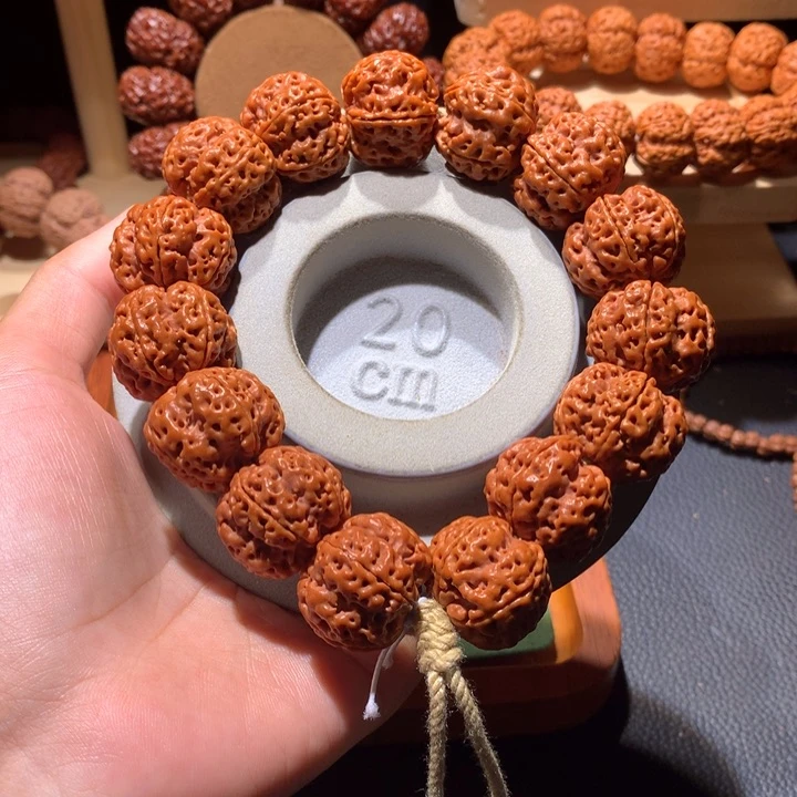 金刚菩提手串22+龙爪梅花