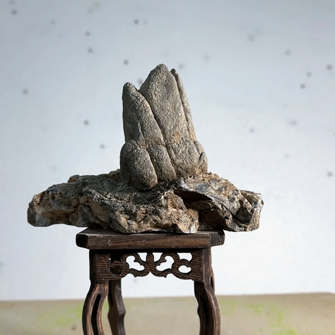 【闪购商品】香榧木飘*出来吃了一个星期之后还会去