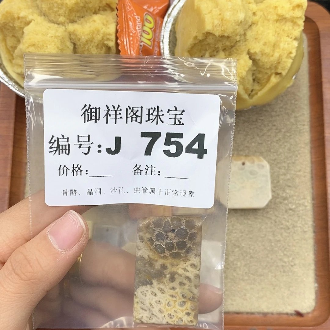 硅化珊瑚（珊瑚玉）颈饰未镶嵌一**?