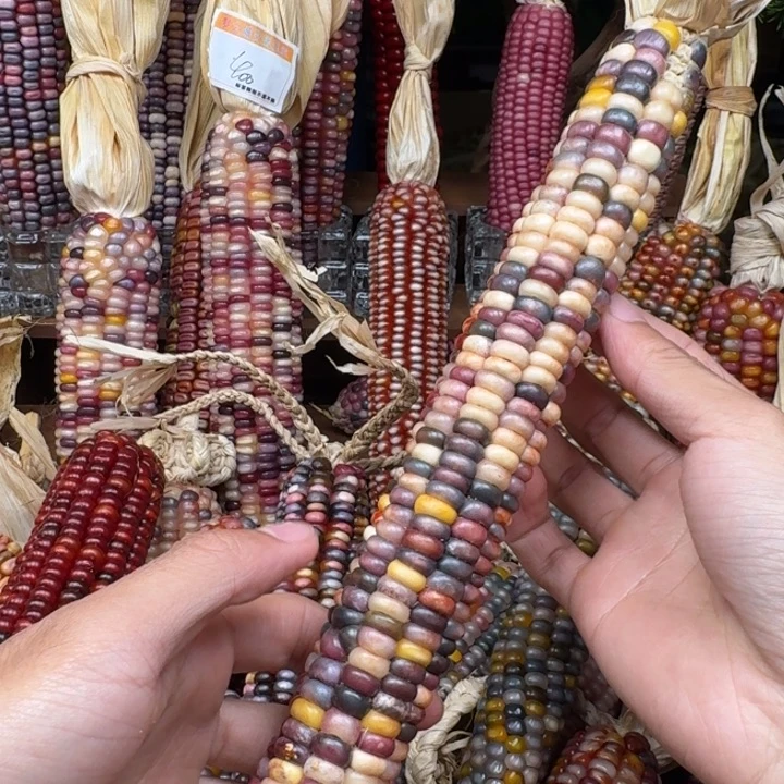 吊坠柏香籽/百香籽