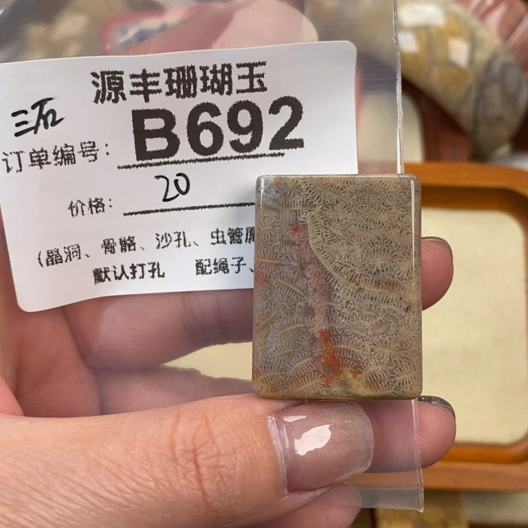 硅化玉颈饰未镶嵌三**5