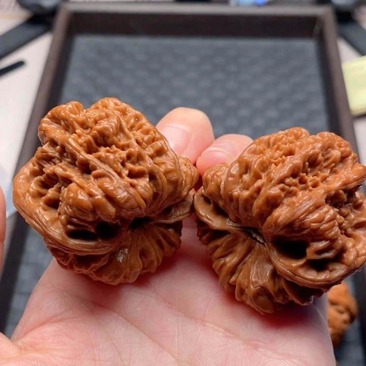 文玩核桃把件金蟾王全品