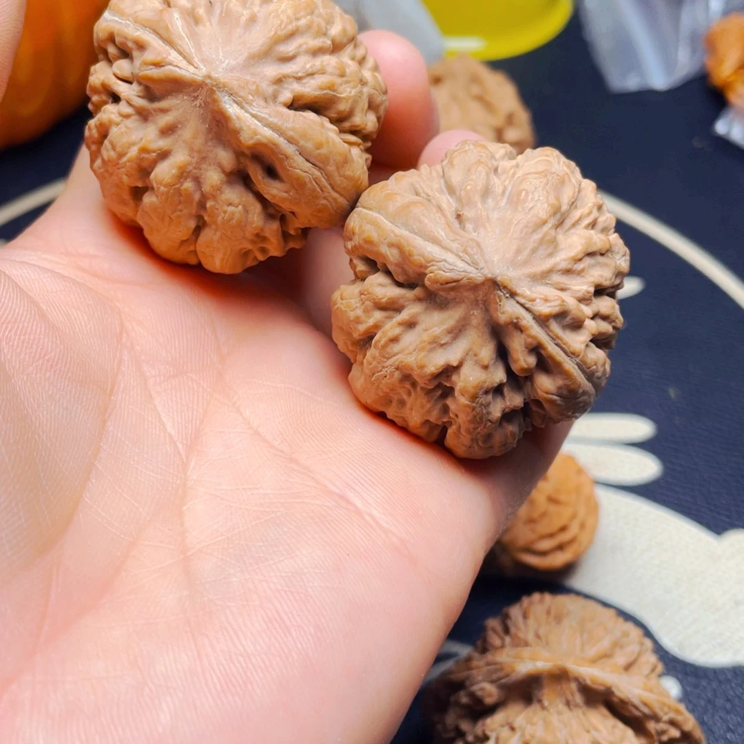 文玩核桃把件霸王龙