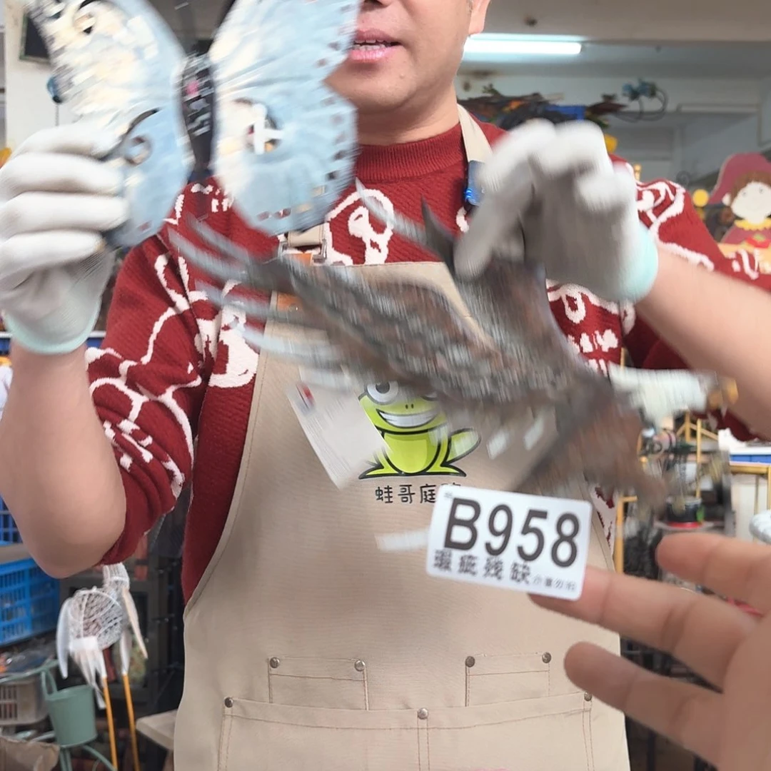 核桃木/黑胡桃（胡桃木）