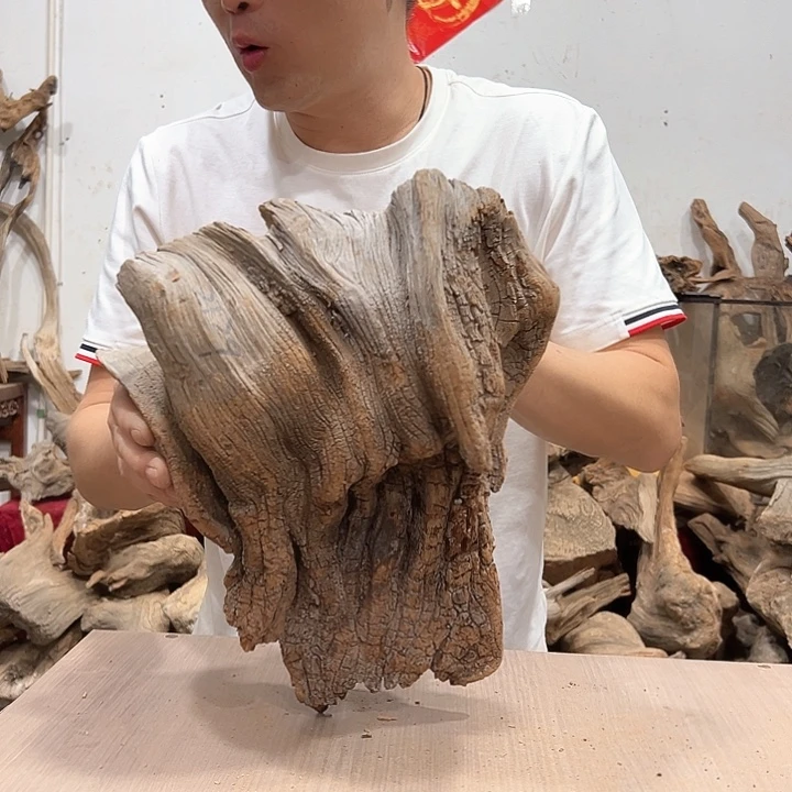 柏木木**玩我们的生活也是如此吧