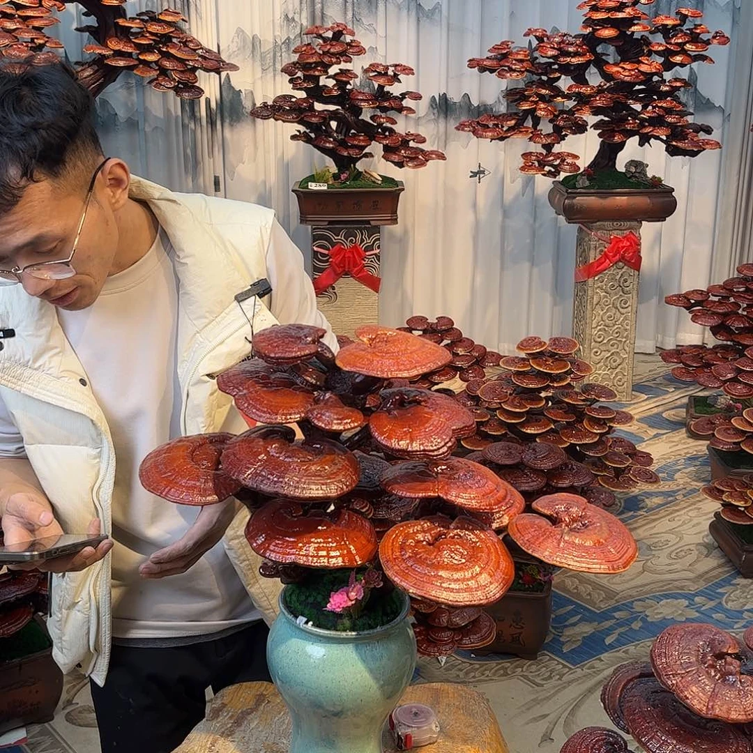 无花朵888888888888