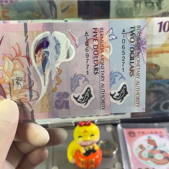 纸币米***成百慕大2 5 两张 图片号