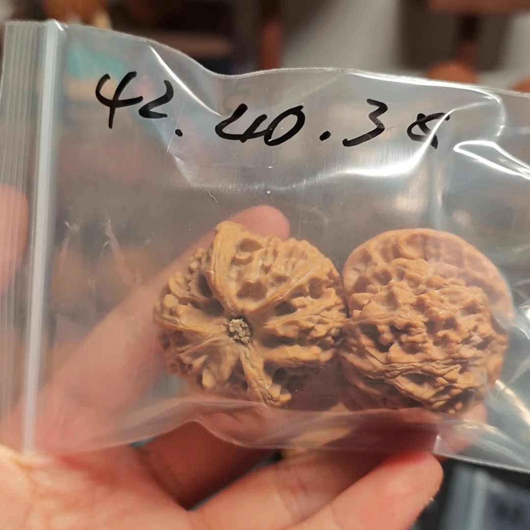 文玩核桃吊坠开播福利，精品配对