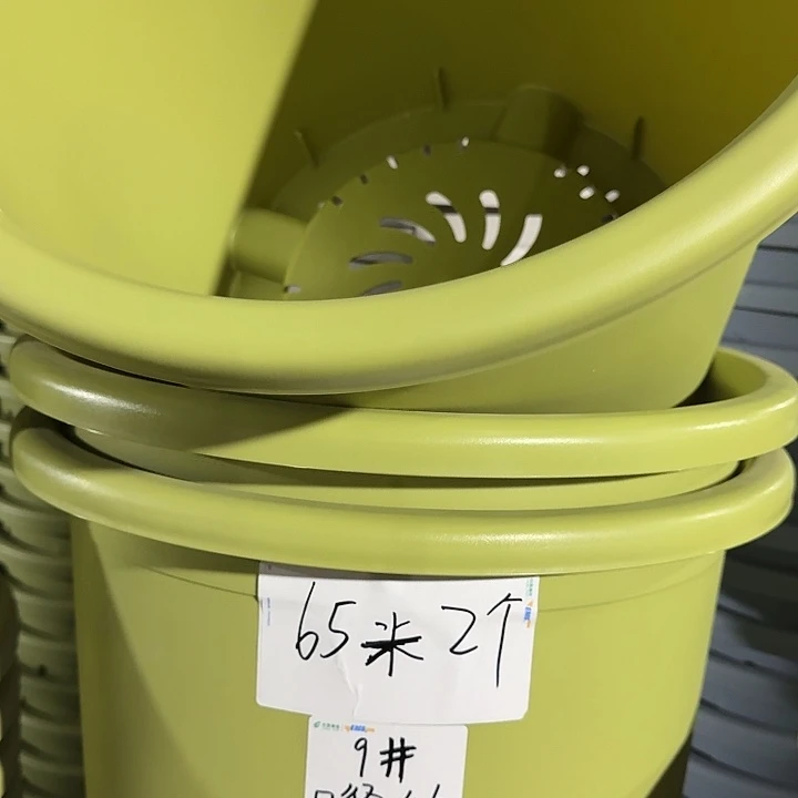 四季9号果绿无托4个特价微瑕