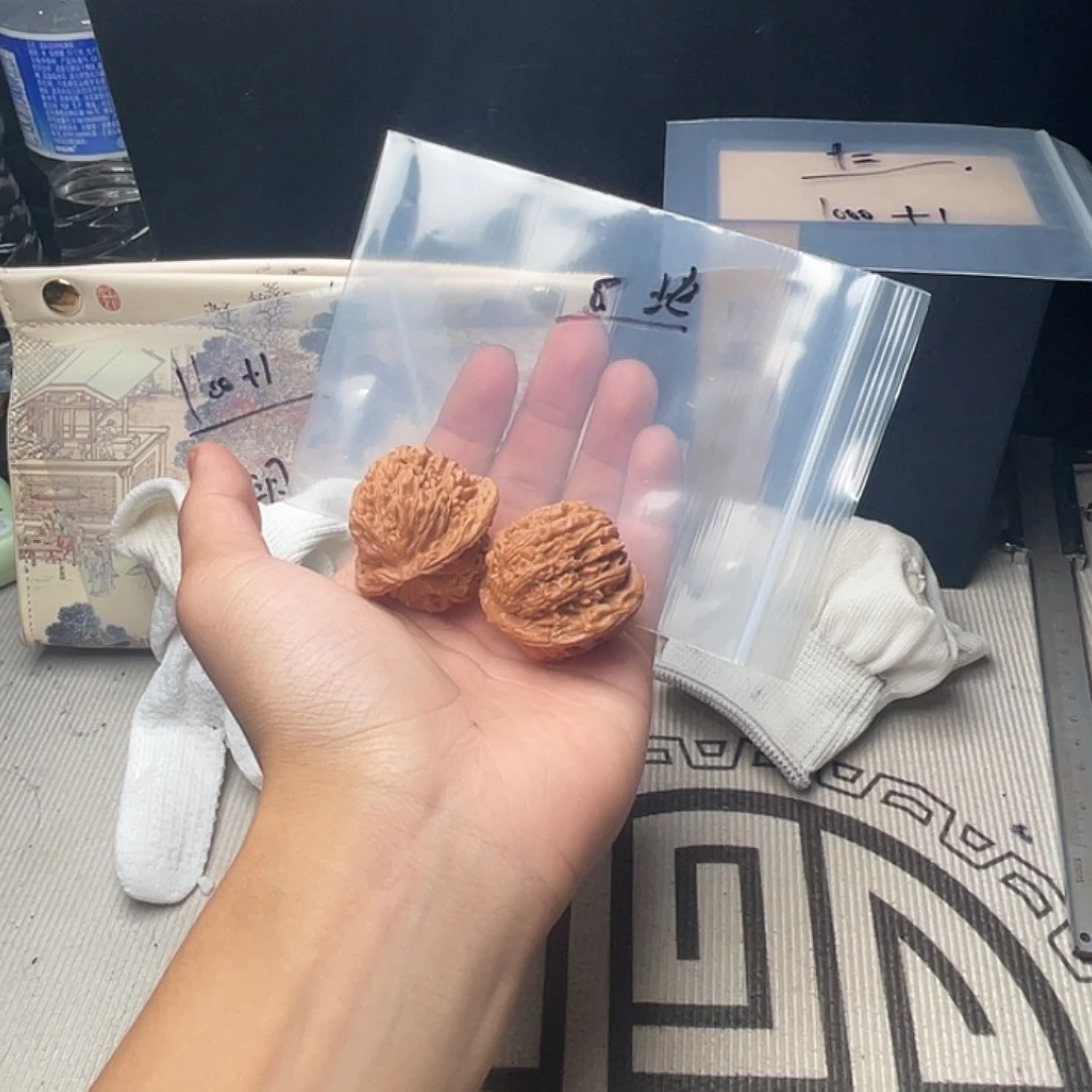 哈哈哈哈姐姐就回家