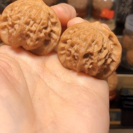 苏*大耳朵图图：手捻