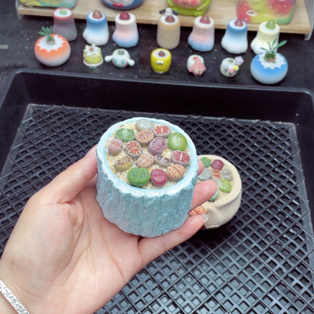 w3292 带盆土发货一物一拍