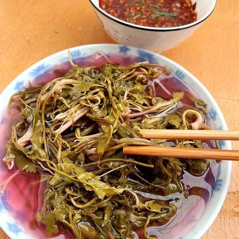 【贵州芹菜酸】贵州特产酸芹菜野芹菜细叶芹手工腌制开胃菜