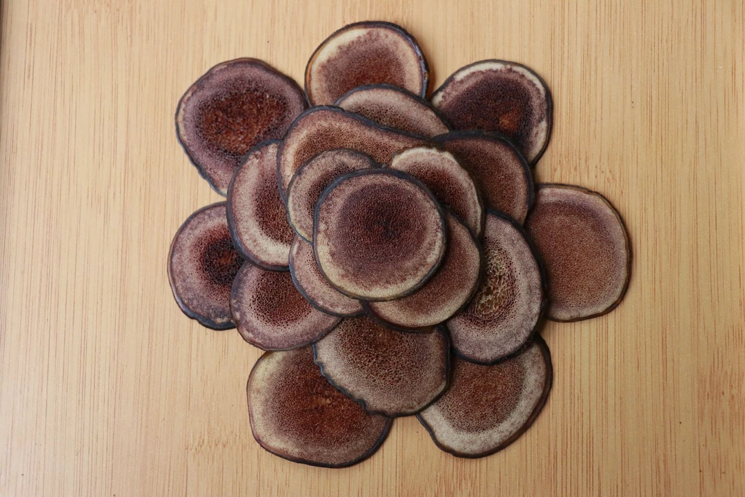 大片鹿茸片珍贵滋补品珍稀鹿角茸片
