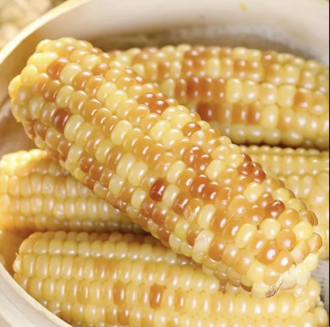 云南西双版纳玉米香糯小花糯真空包装代餐低脂新鲜糯代早餐