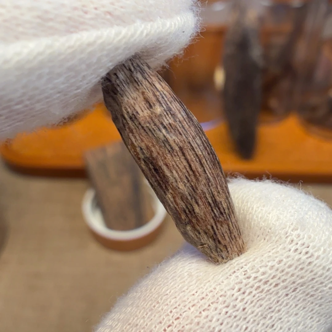 沉香海南小瓜子料