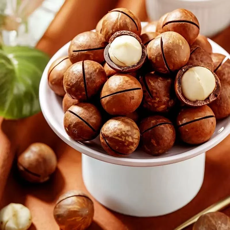 奶香味大颗粒饱满酥脆夏威夷果赠送开口器休闲零食