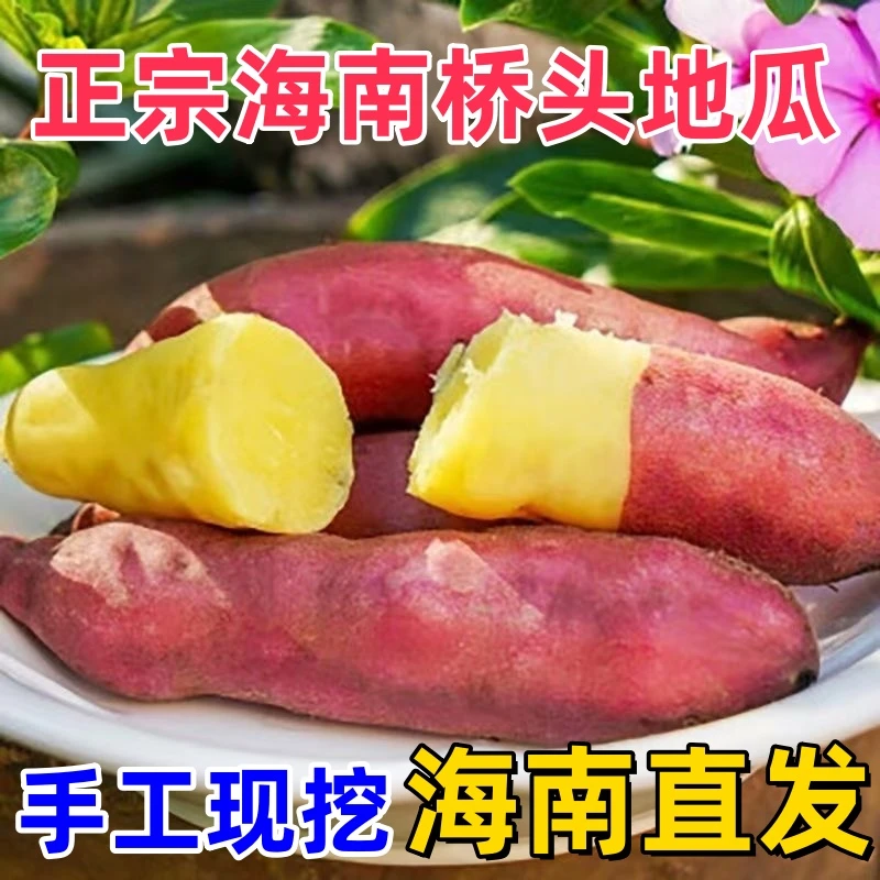 正宗海南澄迈桥头香甜富硒地瓜新鲜板栗署现挖红薯5斤/3斤