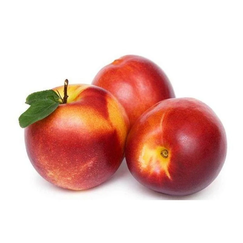 新鲜水晶油桃盒装约650-700g