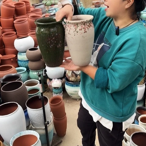 口15高25瑕疵两个盆。