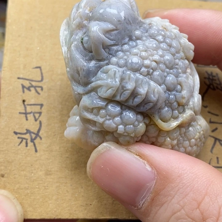 硅化珊瑚（珊瑚玉）未镶嵌颈饰