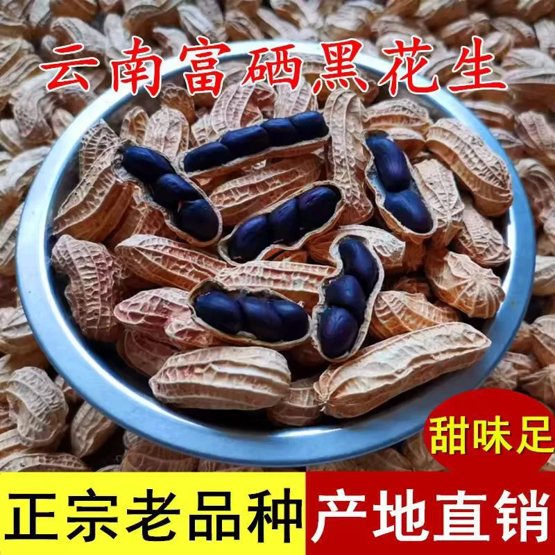 【稀有品种】新上市带壳富硒黑花生农家自产晒干带壳精选老品种