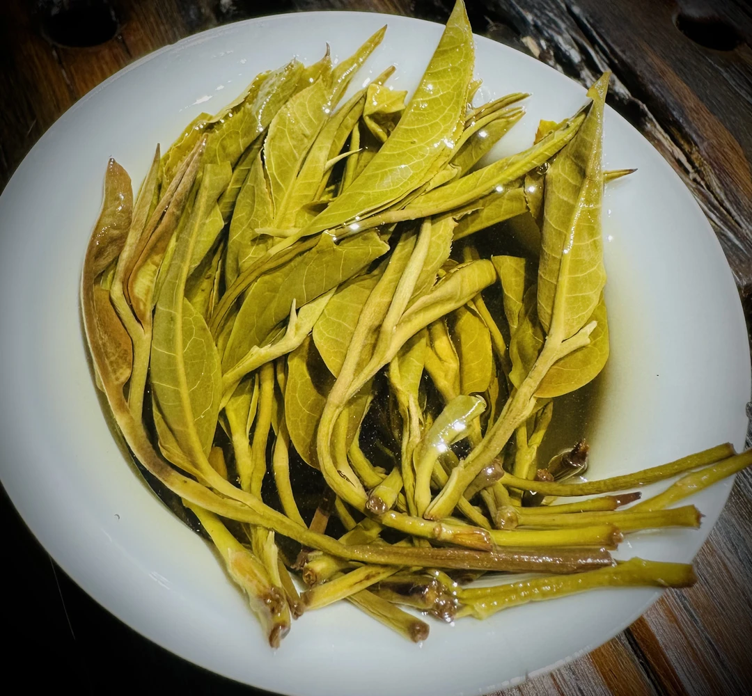 2025.《刮风寨古树混采》春茶 生茶