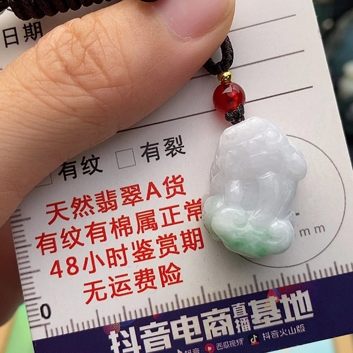 颈饰未镶嵌翡翠貔貅