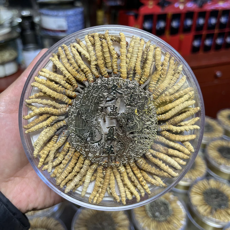 【西藏直发】冬虫夏草正品干货送礼佳品冬虫夏草优质甄选礼盒装
