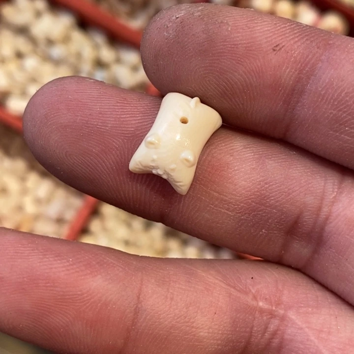 核桃木/黑胡桃（胡桃木）手串/手链