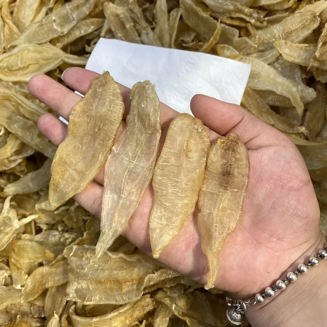 金龙鱼胶【鸡嫂专属】