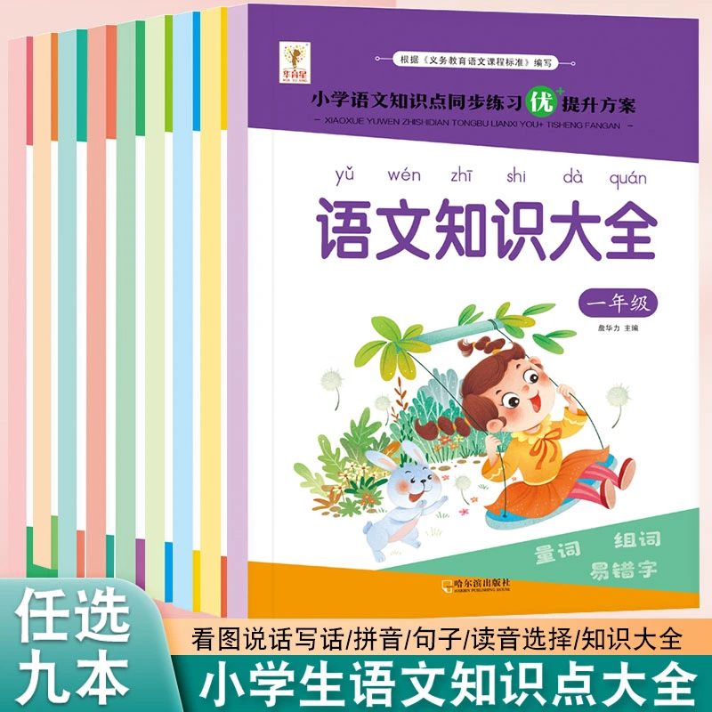 小学语文专项训练习册人教版神奇拼音语文知识点大全读音选择句