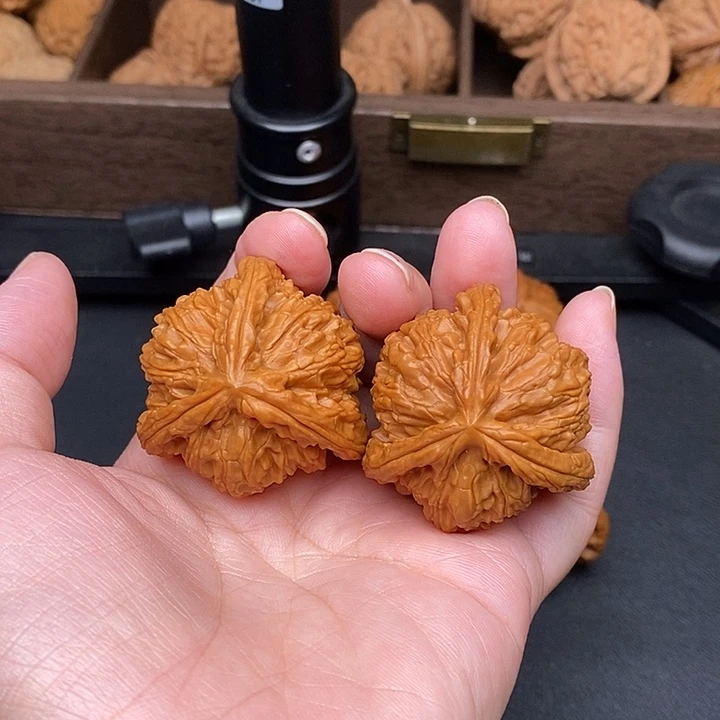 用***8把件文玩核桃白奔